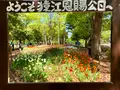 猿江恩賜公園の写真_904608