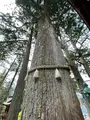 三峰神社 奥宮遥拝殿（見晴台）の写真_914502