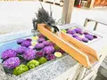 川越八幡宮の写真_915934