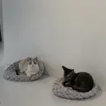 保護猫喫茶 necomaの写真_925764