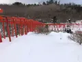 高山稲荷神社の写真_926656