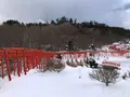 高山稲荷神社の写真_926657