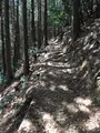 石津御嶽登山口駐車場の写真_928824