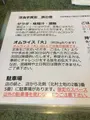 洋食亭 寅安の写真_936143
