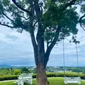 ゲシュマックの写真_946214