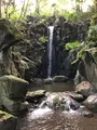 成田（成田山表参道）の写真_947277