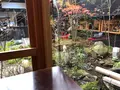 成田（成田山表参道）の写真_947278