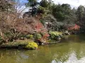 成田（成田山表参道）の写真_947281