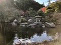 成田（成田山表参道）の写真_947282
