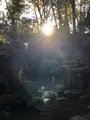成田（成田山表参道）の写真_947283