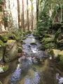 成田（成田山表参道）の写真_947284