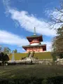 成田（成田山表参道）の写真_947285