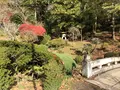 成田（成田山表参道）の写真_947286