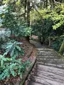 成田（成田山表参道）の写真_947287