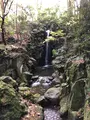 成田（成田山表参道）の写真_947288