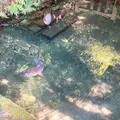 鹿島神宮の写真_949299