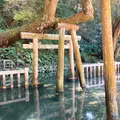 鹿島神宮の写真_949300