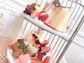 ハニトーカフェ 秋葉原店の写真_955805