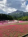 羊山公園の写真_959081
