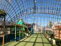 笛吹川フルーツ公園の写真_959210
