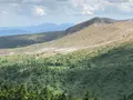 草津白根山の写真_959637