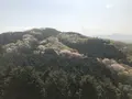 仙元山の写真_959667