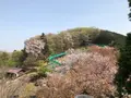 仙元山の写真_959669