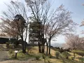 仙元山の写真_959671