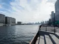 豊海運動公園の写真_970345