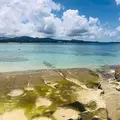 古宇利島の写真_971775