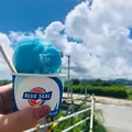 古宇利島の写真_971776
