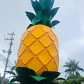 ナゴパイナップルパークの写真_971779