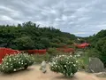 高山稲荷神社の写真_975499