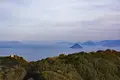 王子が岳の写真_975587