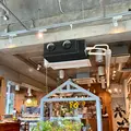 サンデーブランチの写真_977408