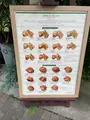 place in the sun（プレイスインザサン）の写真_978467