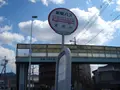 天の川（バス）の写真_988118