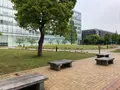 都立シンボルプロムナード公園　の写真_991329
