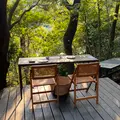 MAHO-ROBA forestの写真_994074