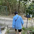 MAHO-ROBA forestの写真_994080