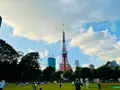 芝公園の写真_994352