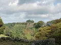 岡城跡の写真_996975