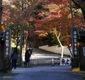 今熊野観音寺の写真_163989
