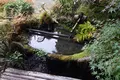 毘沙門堂の写真_101018