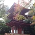 浄瑠璃寺の写真_16795