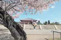 中金堂の写真_279691