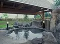 刈和野の写真_50015