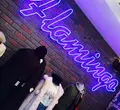 フラミンゴ 表参道店の写真_210273