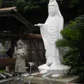 長寿寺の写真_26499