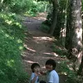 湘南平（高麗山公園）の写真_30158